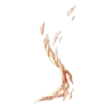https://www.eldarya.hu/assets/img/item/player//icon/1f758bdb3530c1ada4afb825e7c15113~1450271723.png