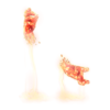 https://www.eldarya.hu/assets/img/item/player/icon/13dbdfd7311c578d9d63395c38bb87d4.png
