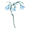 https://www.eldarya.hu/assets/img/item/player/icon/26fa9b1b16753f40e6c35c9080e21fbf.png
