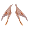 https://www.eldarya.hu/assets/img/item/player/icon/c7e4c031190957469eb21b3756e7f0e0.png