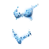 https://www.eldarya.hu/assets/img/item/player/icon/ec0084ccb0c2f0e1df7475116704e11a~1665663011.png